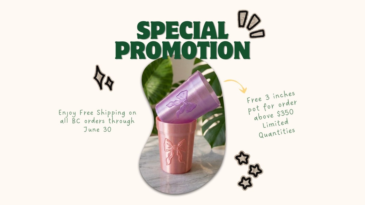 Special promotion with pink and purple self-watering pots